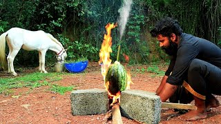 Watermelon Omlette തണ്ണിമത്തൻ മുട്ട  M4 TECH [upl. by Merfe]