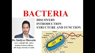 Bacteria Introduction Structure and Function Discovery [upl. by Amena]