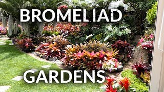 BROMELIAD GARDENS [upl. by Bolen]