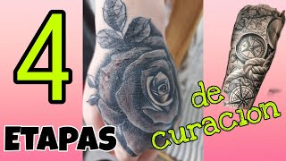 Las 4 Etapas de curación de un tatuaje [upl. by El]