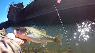 Bass Fishing At The Guntersville Dam [upl. by Luy]