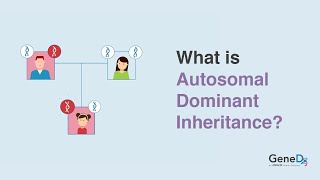 What is Autosomal Dominant Inheritance [upl. by Gautea]