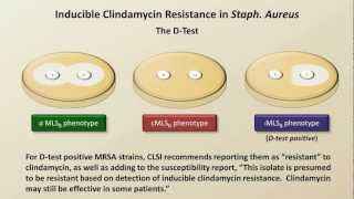 Antibiotic Resistance Antibiotics  Lecture 9 [upl. by Maltz]