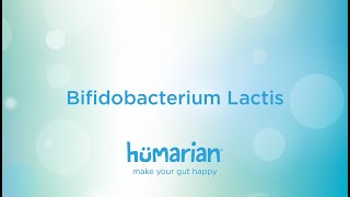 Bifidobacterium Lactis [upl. by Etteluap]