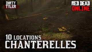 Chanterelle Locations Red Dead Online RDR2 Daily Challenges [upl. by Yhtrod]