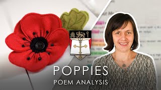 Poppies  Jane Weir  Poem Analysis  AQA GCSE English Lit [upl. by Auqenwahs958]