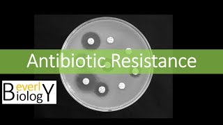 Antibiotic Resistance [upl. by Swaine]