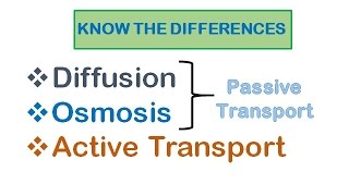 Cell Transport Diffusion osmosis active transport [upl. by Neelyar]