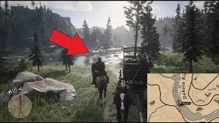 Red Dead Redemption 2 Cardinal Location [upl. by Nelaf]