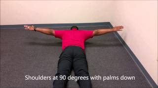 Scapular Stability Exercises [upl. by Henrion]