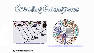 Making a Cladogram 1 [upl. by Dnilazor]