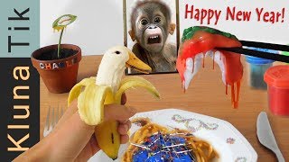 BEST OFF Kluna Tik 2017 95  ASMR eating sounds no talk [upl. by Mcmath]