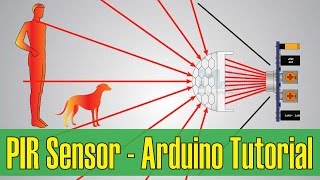 How PIR Sensor Works and How To Use It with Arduino [upl. by Kampmann321]