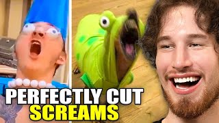 the MOST HILARIOUS PERFECTLY CUT SCREAMS memes [upl. by Lissa377]