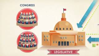 FLVS Civics Foundations  Checks and Balances [upl. by Natasha]