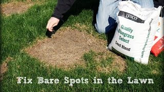 How To Seed And Repair Bare Spots in the Lawn [upl. by Laden]