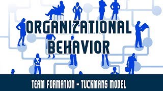 Management  Organizational Behavior  Groups and Teams Part 8  Team Formation  Tuckmans Model [upl. by Yanrahc]