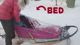 Designing the perfect dog sled  Mushing Explained [upl. by Neroc]