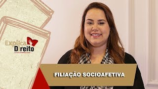 Explica Direito Filiação Socioafetiva  2019 [upl. by Nadnal]