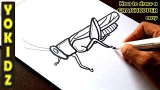 How to draw a GRASSHOPPER Easy [upl. by Warford]