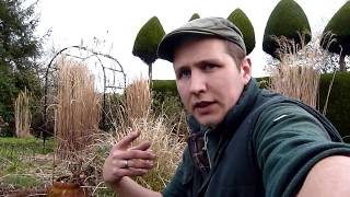 Ornamental Grasses  Winter Pruning amp Division [upl. by Nimad]