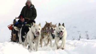 Dog Sledding in Norway [upl. by Naujaj]