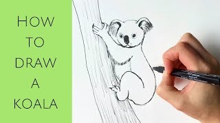 Beginners  How to draw a koala [upl. by Lananna945]