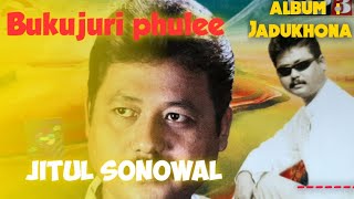 Jitul sonowal assamese superhit বুকু জুৰি ফুলে ৷ a hit song by Jitul Sonowal [upl. by Leone]