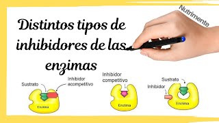 Tipos de INHIBIDORES de las ENZIMAS [upl. by Lim]