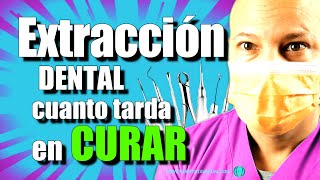 Proceso de CICATRIZACIÓN de la EXTRACCIÓN dental [upl. by Kreda]