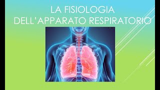 Fisiologia dellapparato respiratorio [upl. by Ching225]