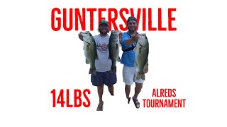 Lake Guntersville bass fishing [upl. by Lightman]