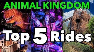 Top 5 Animal Kingdom Rides [upl. by Ennayehc264]