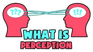 What is Perception  Explained in 2 min [upl. by Matless]