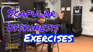 Scapular Dyskinesis Exercises [upl. by Dinan141]