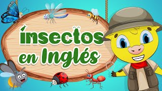 Insectos en Inglés  Aprender Inglés  Inglés Para Niños [upl. by Amehsat]