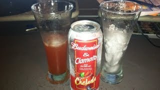 Budweiser amp Clamato Chelada Beer Review [upl. by Kirsch]