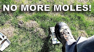 Howto Eliminate Moles Wire Tek EasySet Mole Eliminator [upl. by Laith]