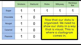 Candy Phylogeny Lab Cladistics [upl. by Ovida]