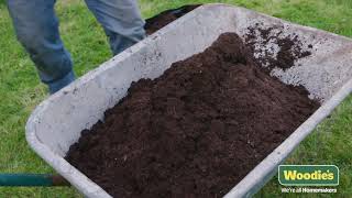 How To Repair Lawn Patches With Garden amp DIY Expert Brian Burke [upl. by Adnilahs]