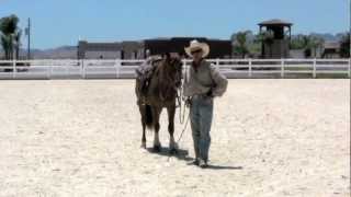 Teaching your horse to stand still while mounting [upl. by Ashatan]