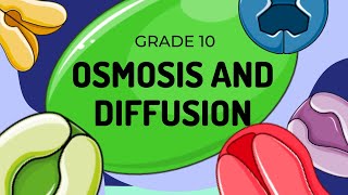 Diffusion and Osmosis [upl. by Greenwood]