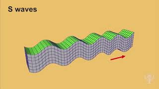 Seismic waves earthquake [upl. by Minor753]