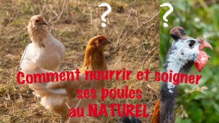 Comment nourrir et soigner ses poules au NATUREL [upl. by Faunie492]