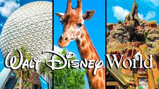 Top 10 Longest Disney World Rides [upl. by Yssenhguahs]