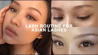 LASH ROUTINE FOR STRAIGHT ASIAN LASHES CURLED ALL DAY [upl. by Jezebel]