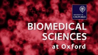 Biomedical Sciences at Oxford University [upl. by Payne]