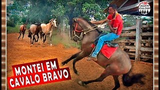 Domando cavalo Bravo [upl. by Repsag]