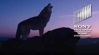 Wolf Totem  OFFICIAL TRAILER [upl. by Notsirk]