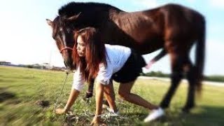 My Sister training care horse in beginner [upl. by Venita]